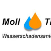(c) Moll-trocknungs-service.eu